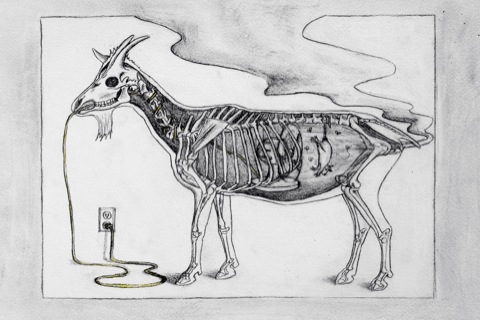 a skeletoned animal is standing near an electrical cord