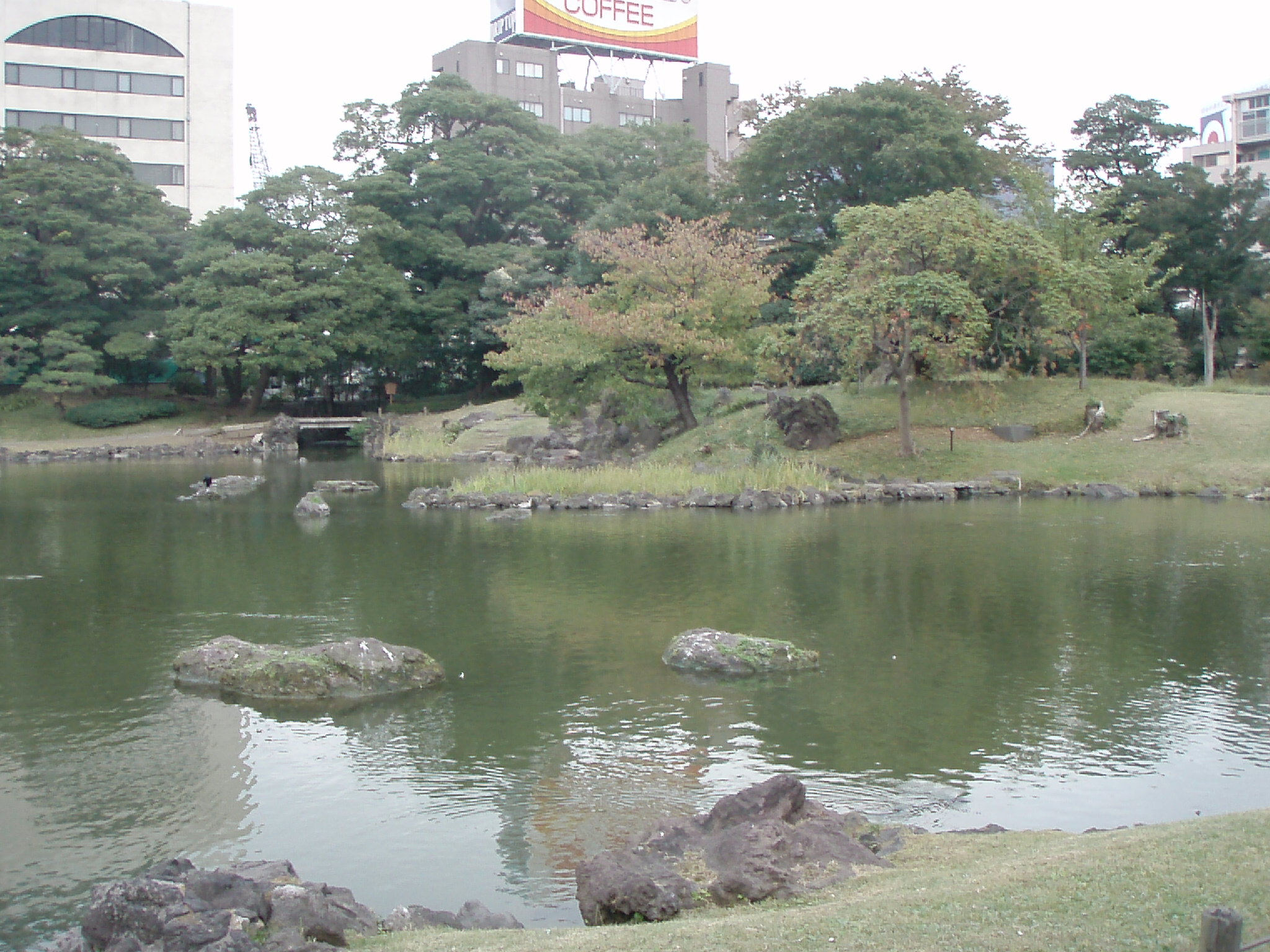 pond with grass and water feature surrounded by trees