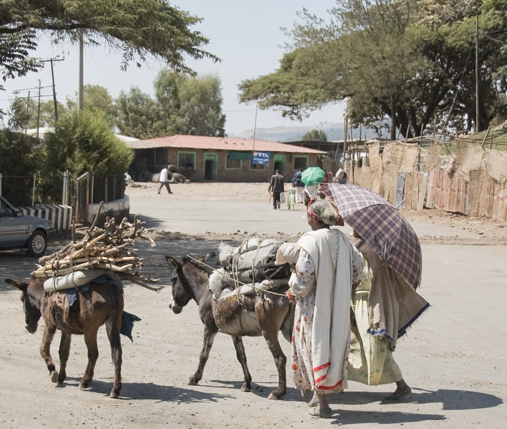 a man carrying baskets on his donkeys while people watch