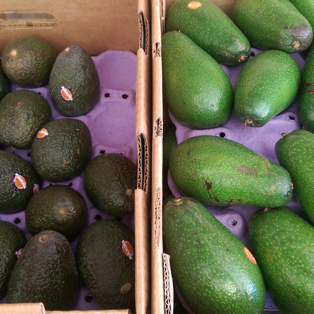 many ripe avocados are in boxes that one is a cardboard box