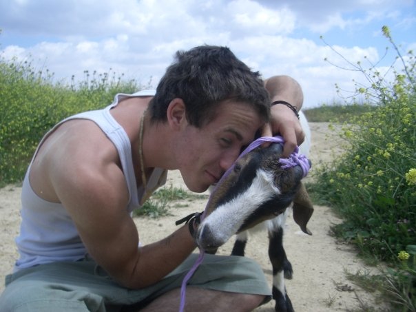 a man petting a goat while sitting down