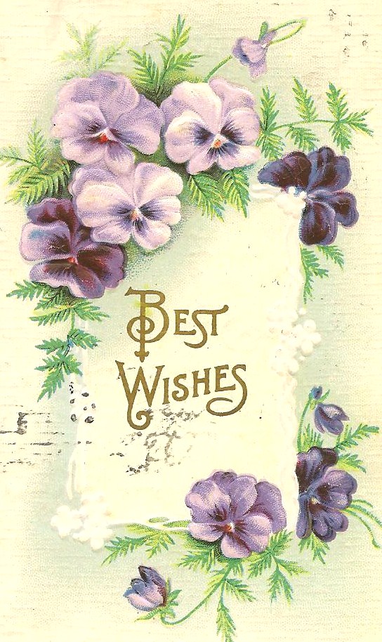 the words best wishes are printed in green and blue flowers
