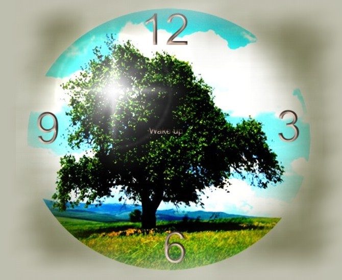 a painting on a round clock with trees