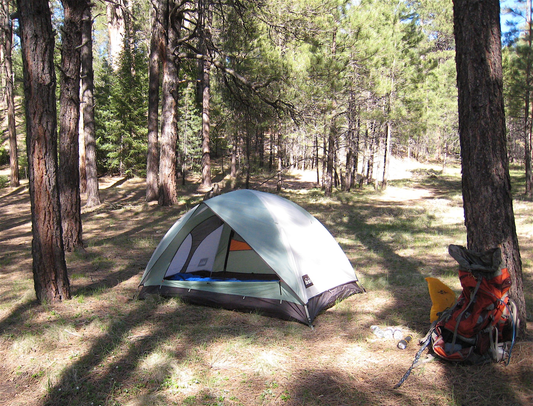 a tent in the middle of a wooded area with trees