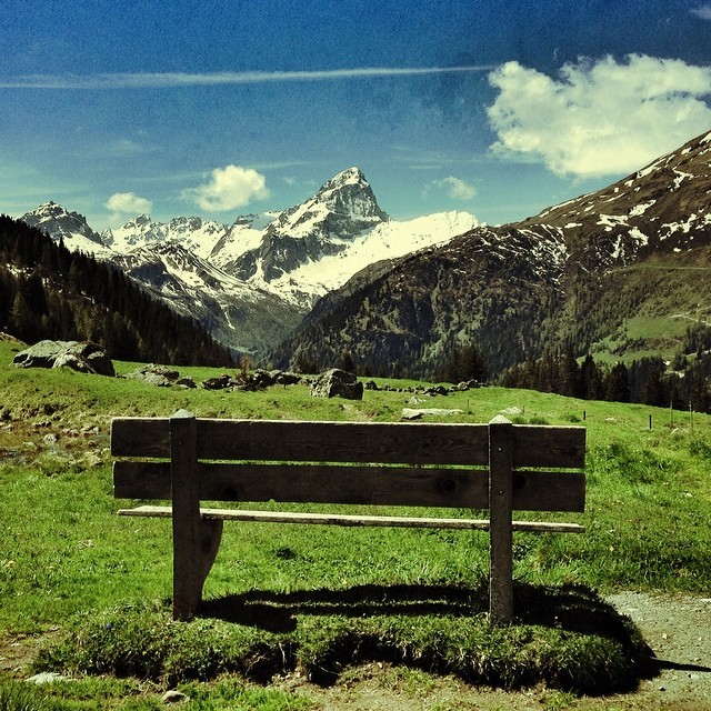 there is a bench in a field with mountains in the background