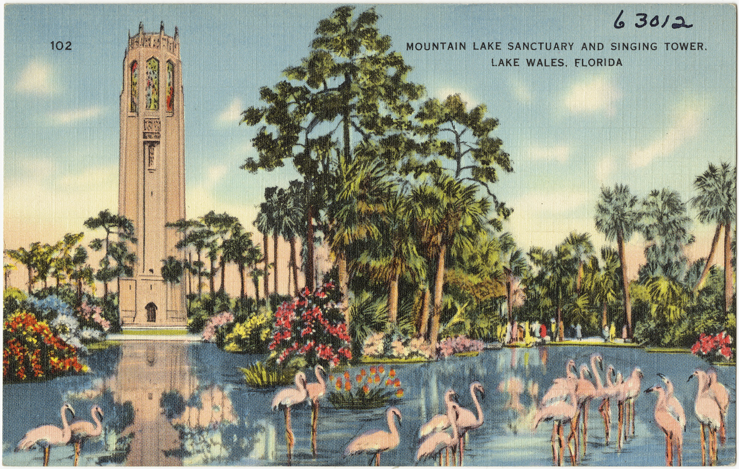 a picture with a lake, several trees and pink flamingos