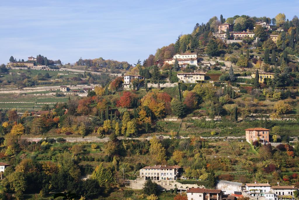 an image of a town on a hillside in the fall