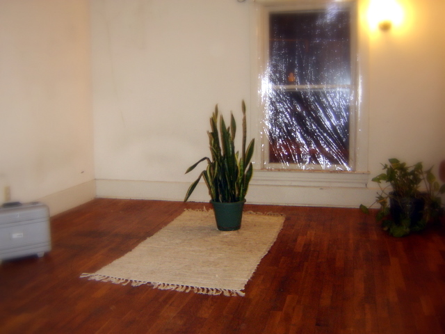 an indoor room with a wooden floor and a small potted plant