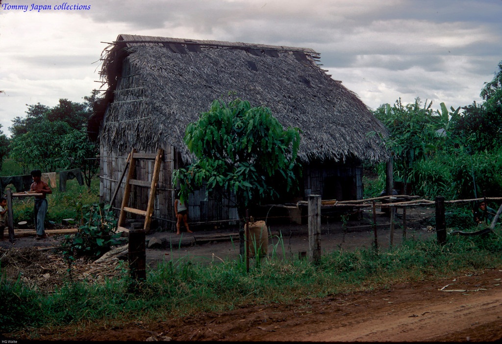 there are grass thatched roof homes that are on the land