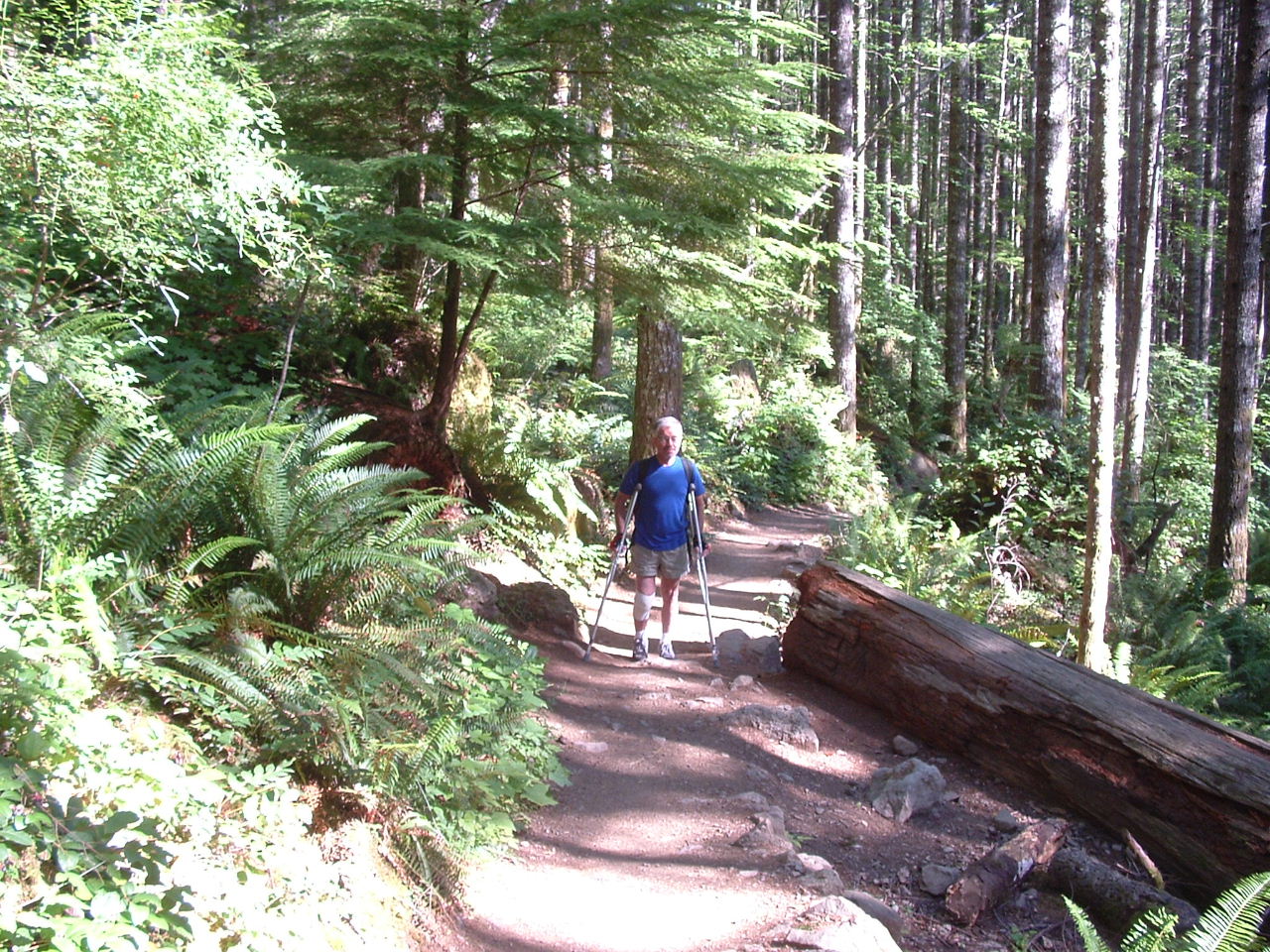 a man is on the trail in the woods