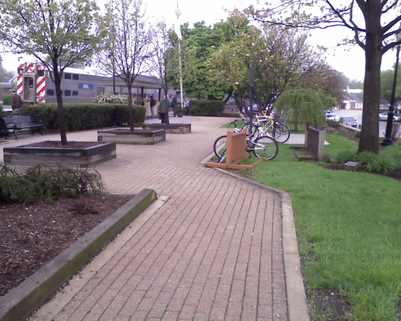 a bicycle parked up against the tree line