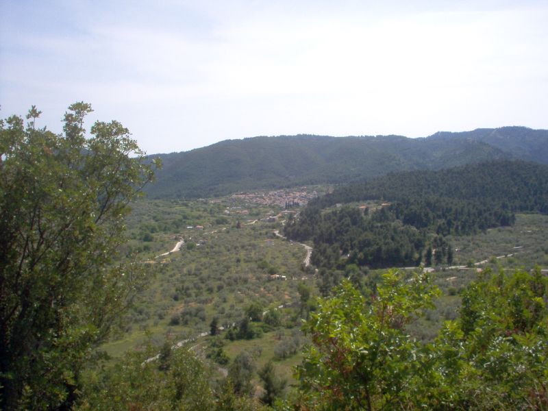 a hill with trees on the side of it and other hills in the background