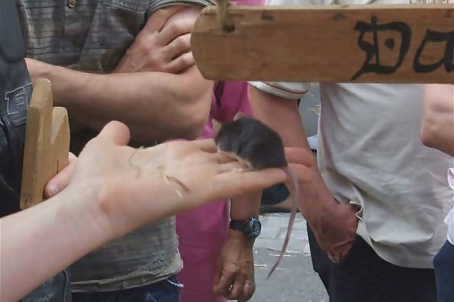 a person handing a small bird from someone's hand