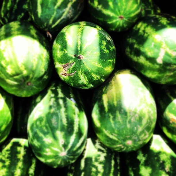 some green watermelons in the middle of pileed