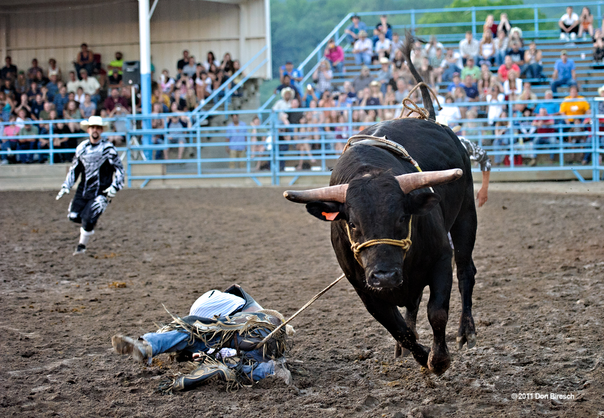 a man riding on the back of a bull in a rodeo