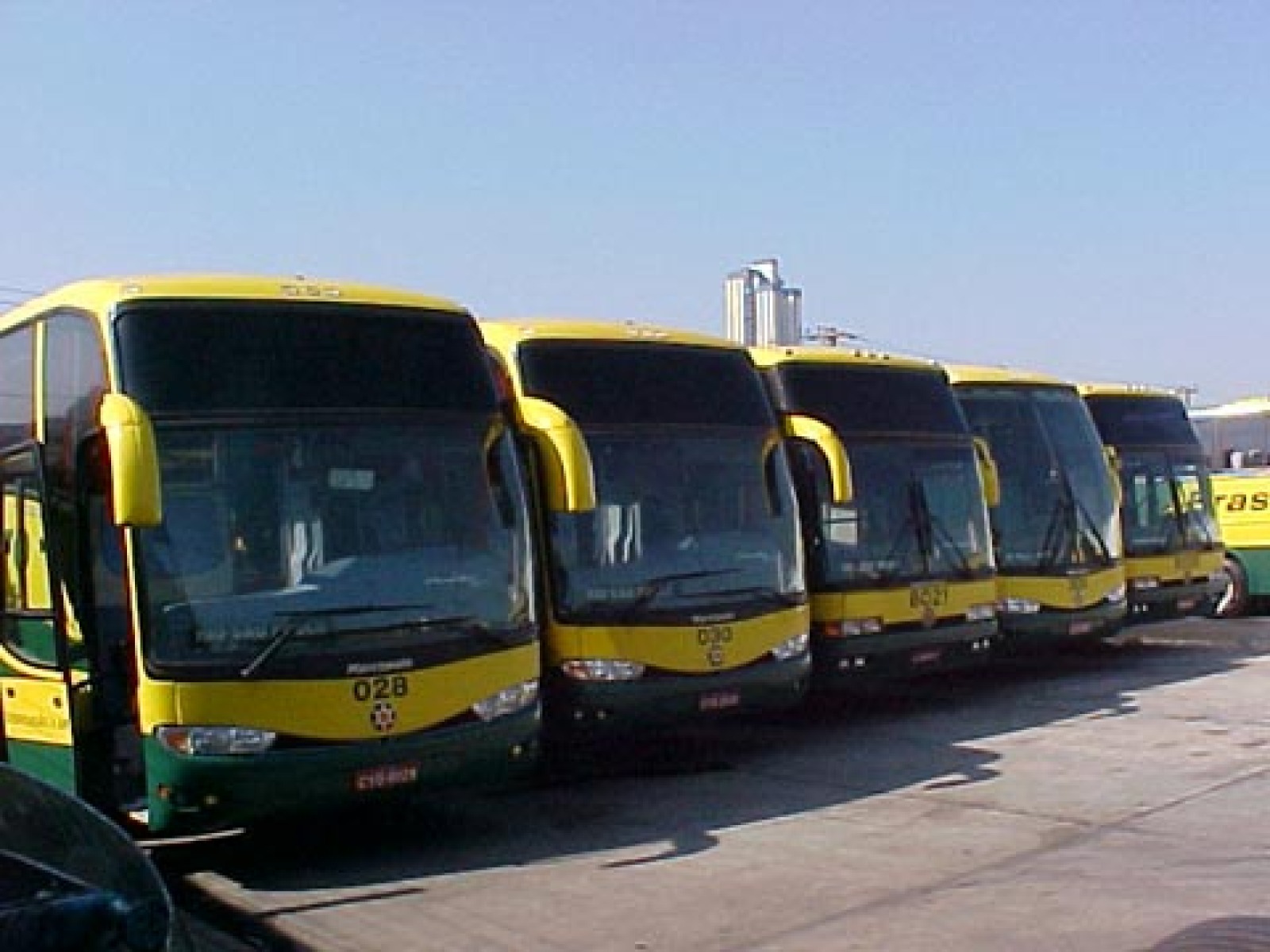 there are several yellow and green buses lined up