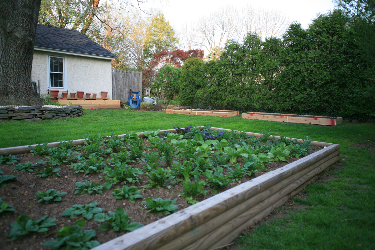 a garden in the middle of a yard next to a house