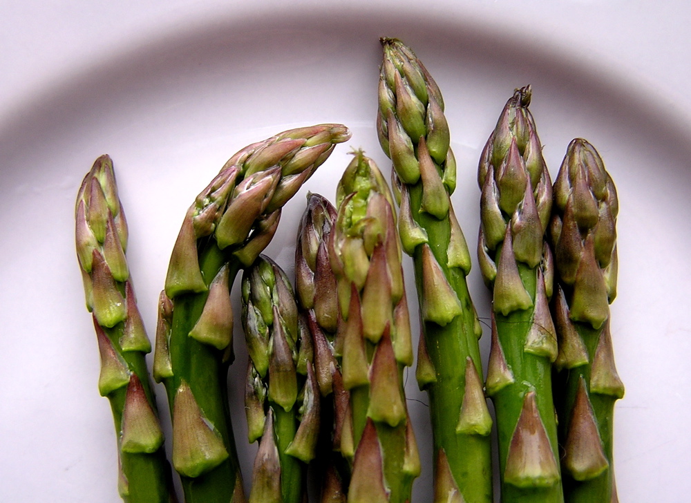 asparagus stalks are placed on a white plate