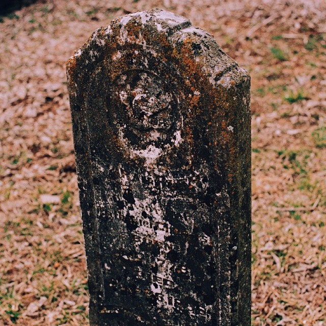 the head and neck of a headstone are all covered with some leaves