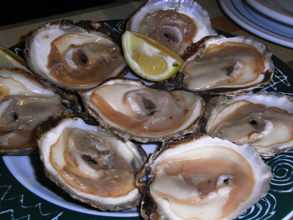 oysters on the half shell with lemon wedges on a plate