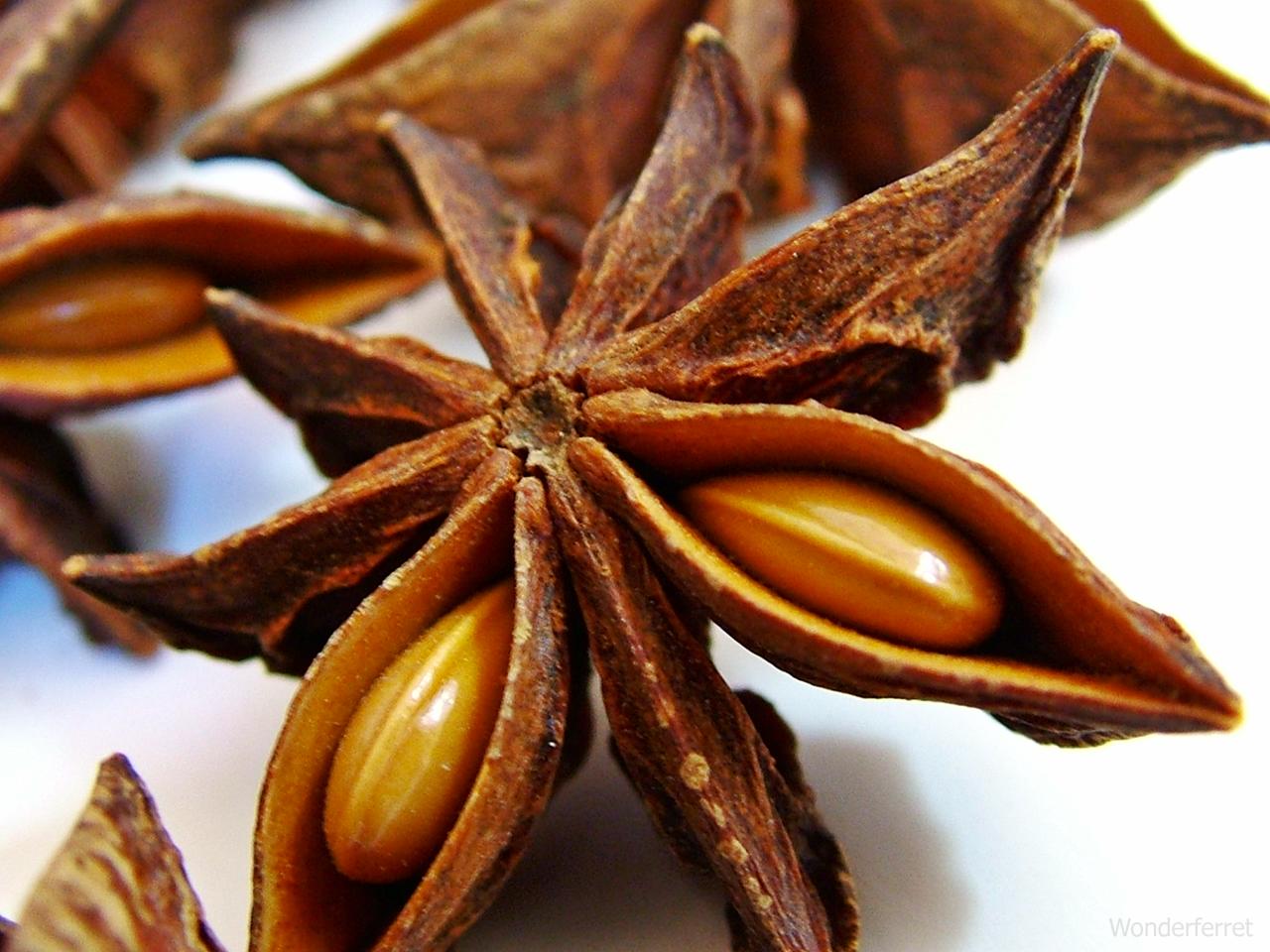 the nuts of anise, one of the best foods