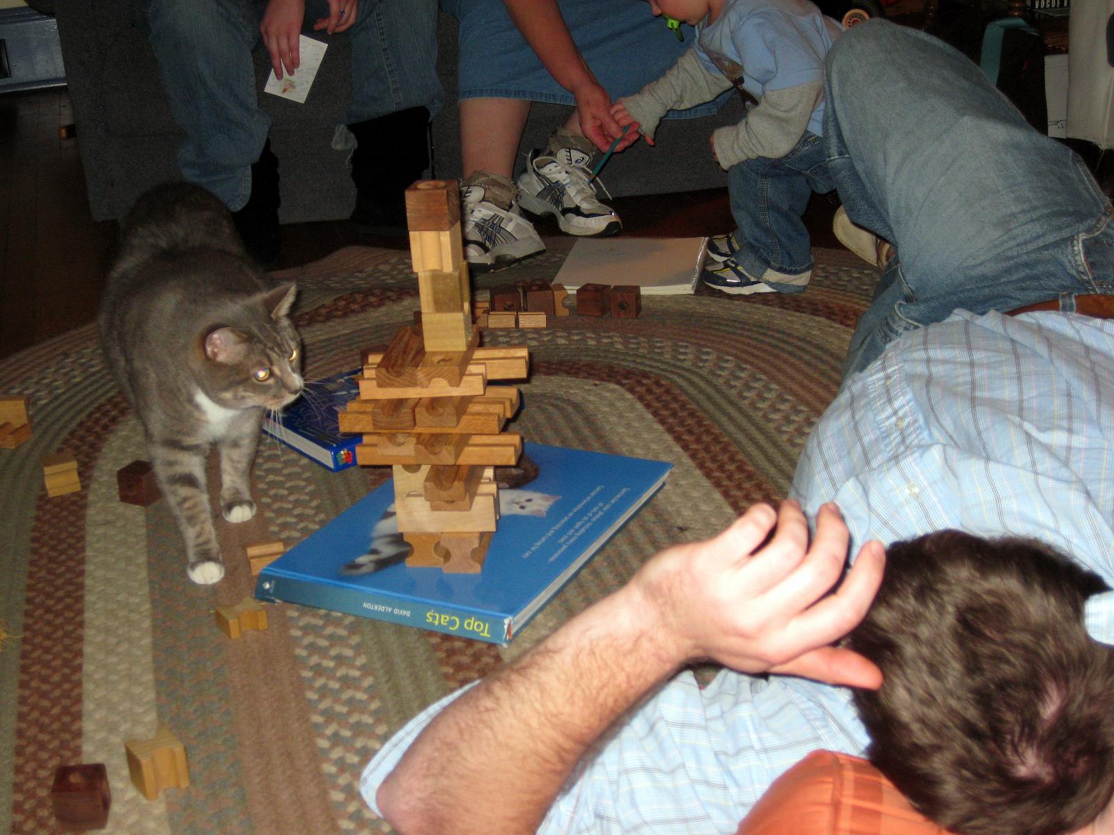 a person laying down playing with wooden blocks and a cat