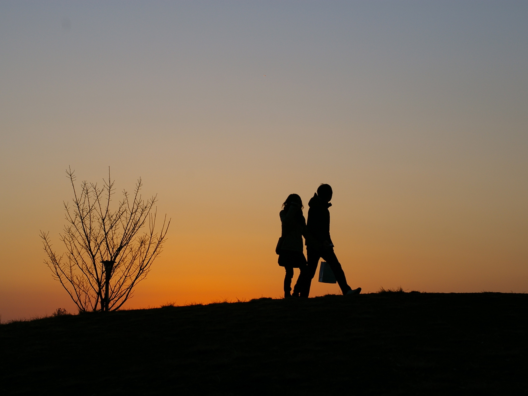 two people walking past a tree on top of a hill