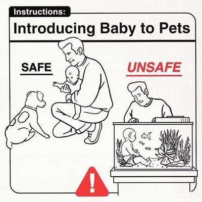 instructions to pets and how to use them