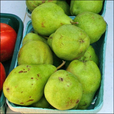 a bunch of pears and apples in two boxes