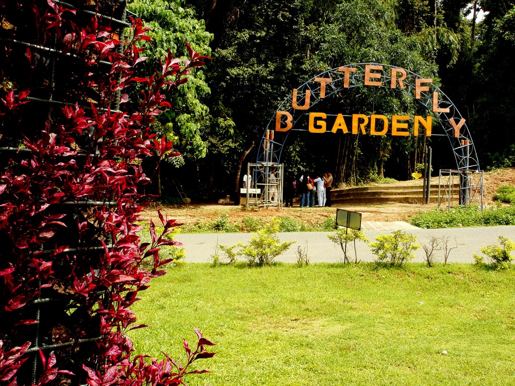 the letters on a metal structure and some trees