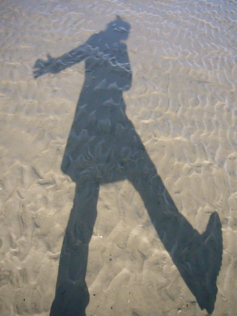 the shadow of a person standing on a beach