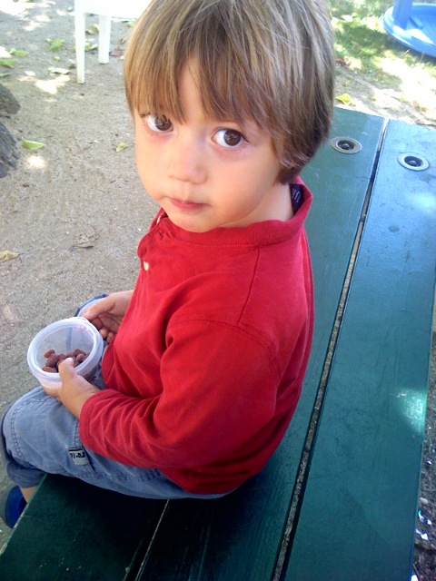 a little boy sitting on a bench eating a piece of food