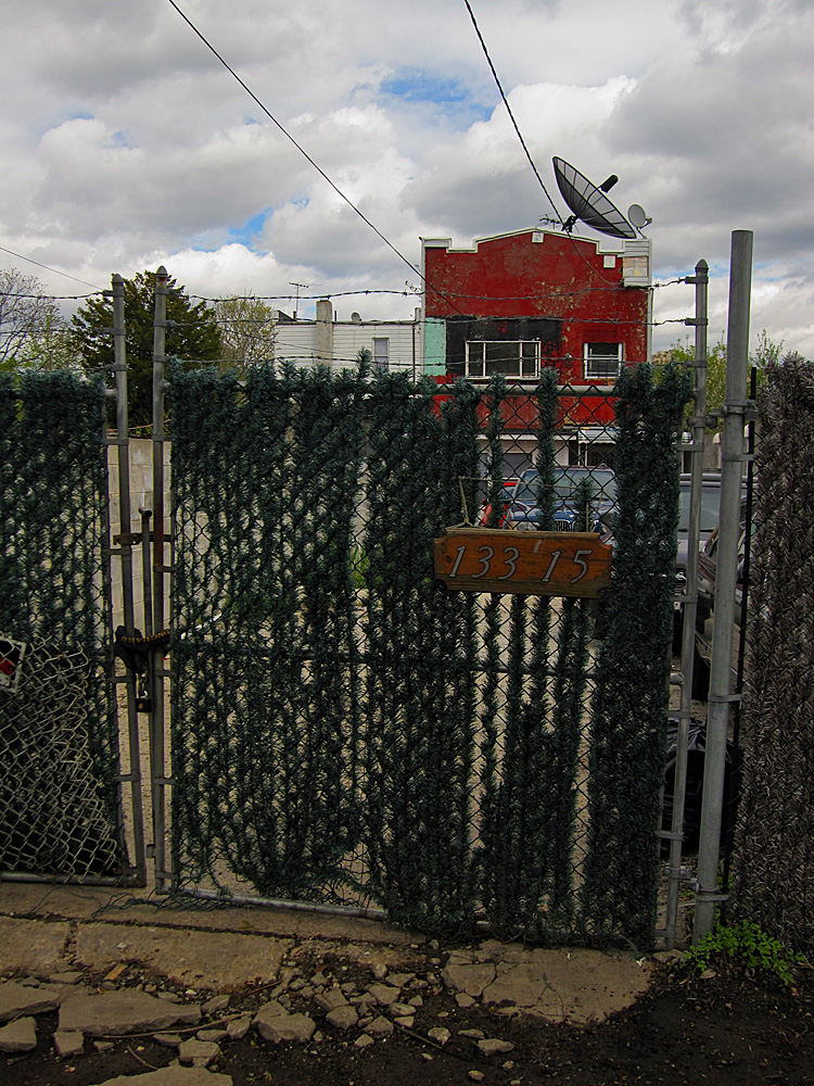 there are lots of ivy growing on the fence