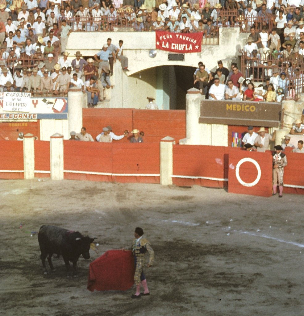 a bull stands beside a mata in a bullfight