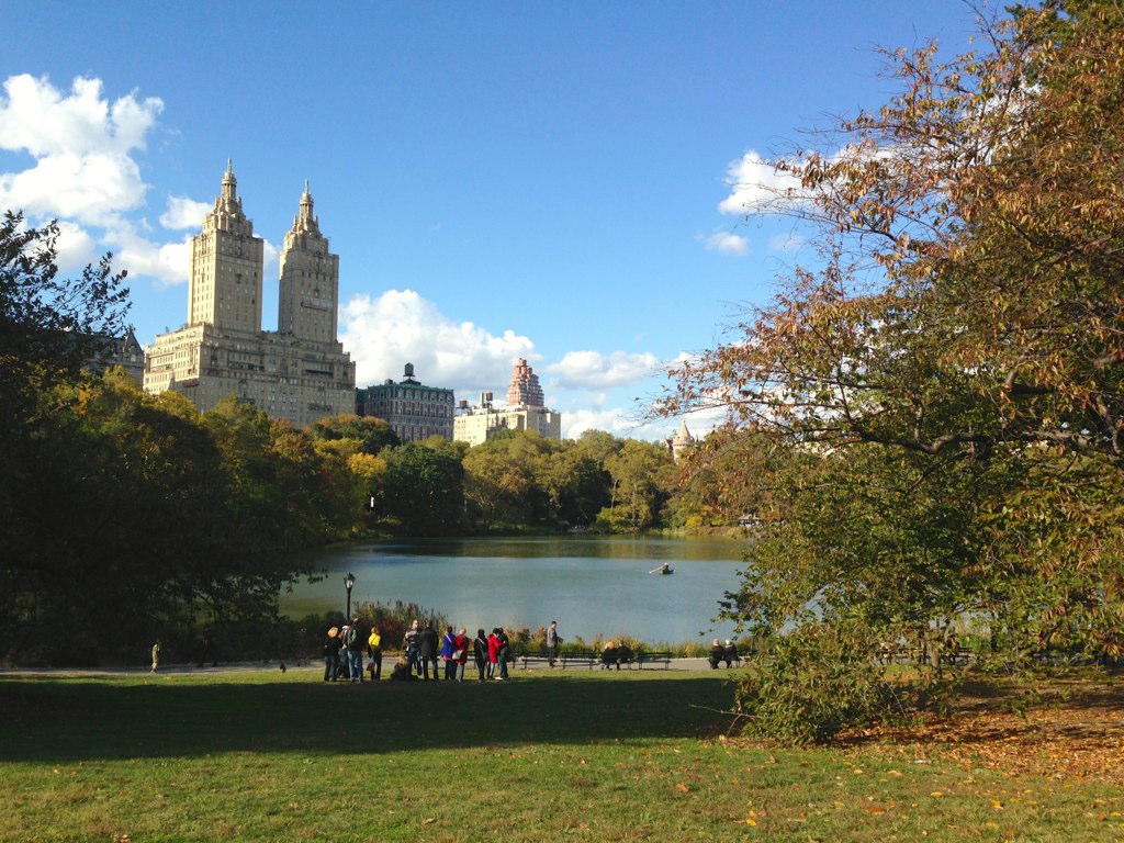 people stand on the grass by a large lake in central park