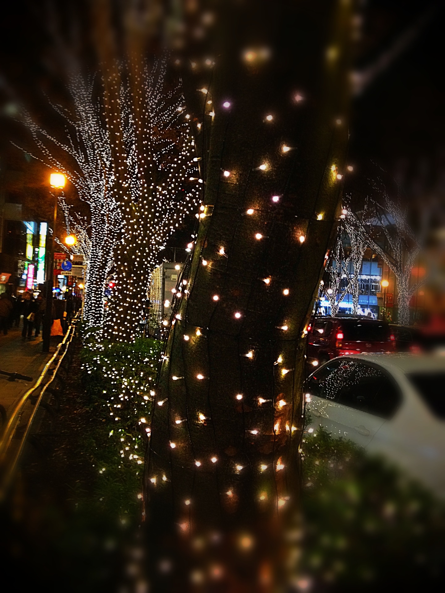 the lights are on all sides of the trees by the sidewalk