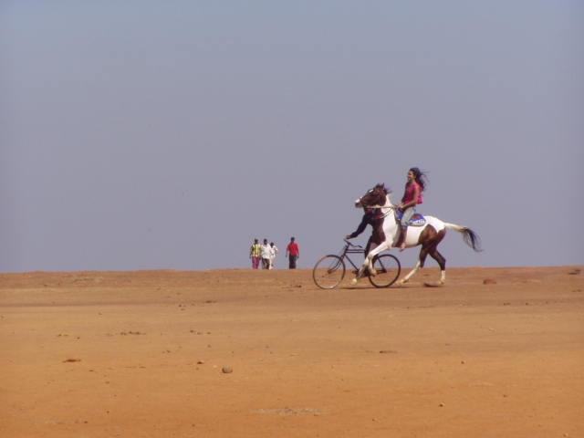 a person is riding on a bike and a horse