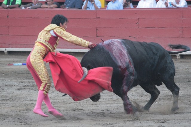 two men fight a bull in an arena