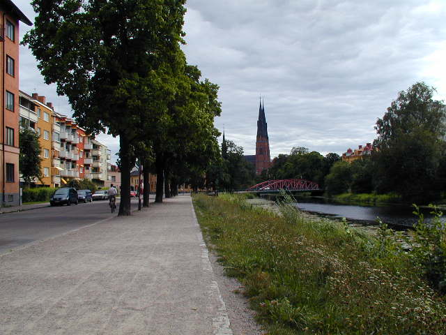 a paved sidewalk with green plants lining the side and a large body of water in the distance