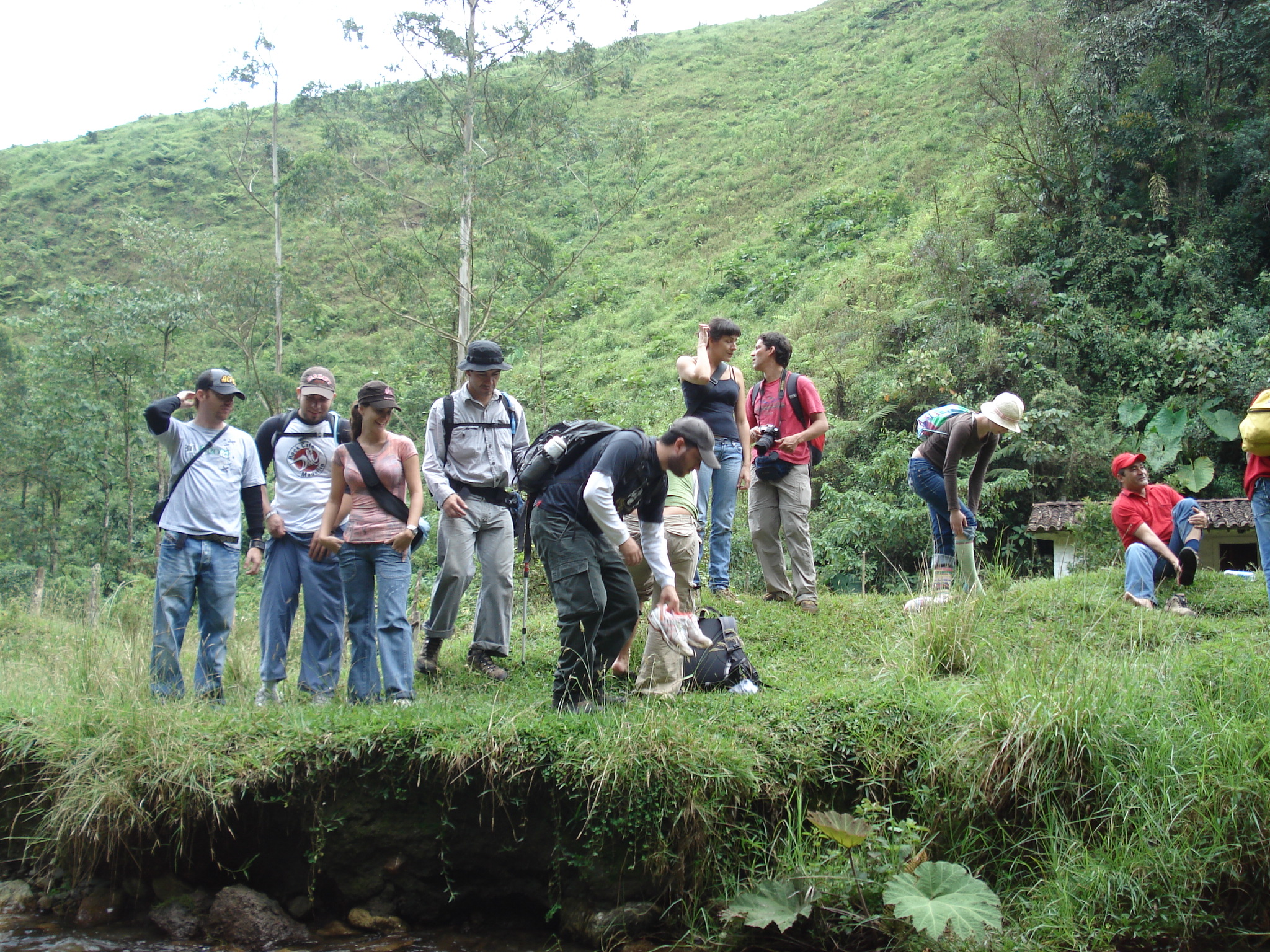 several people are standing in the grass with a cow