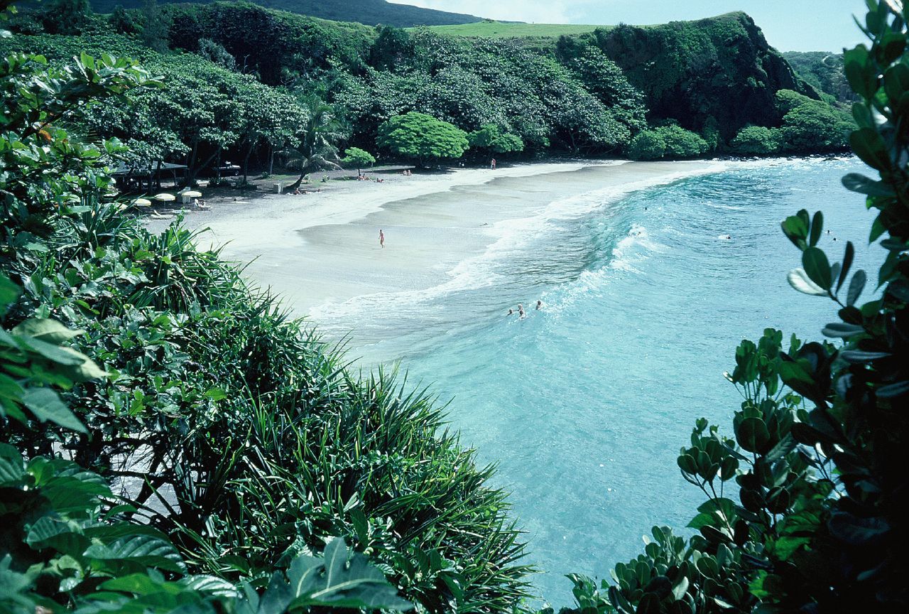 the beach is surrounded by trees and bushes