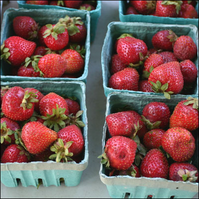 some fresh strawberries sit inside baskets on display