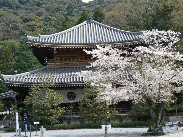 a large building surrounded by trees with white flowers