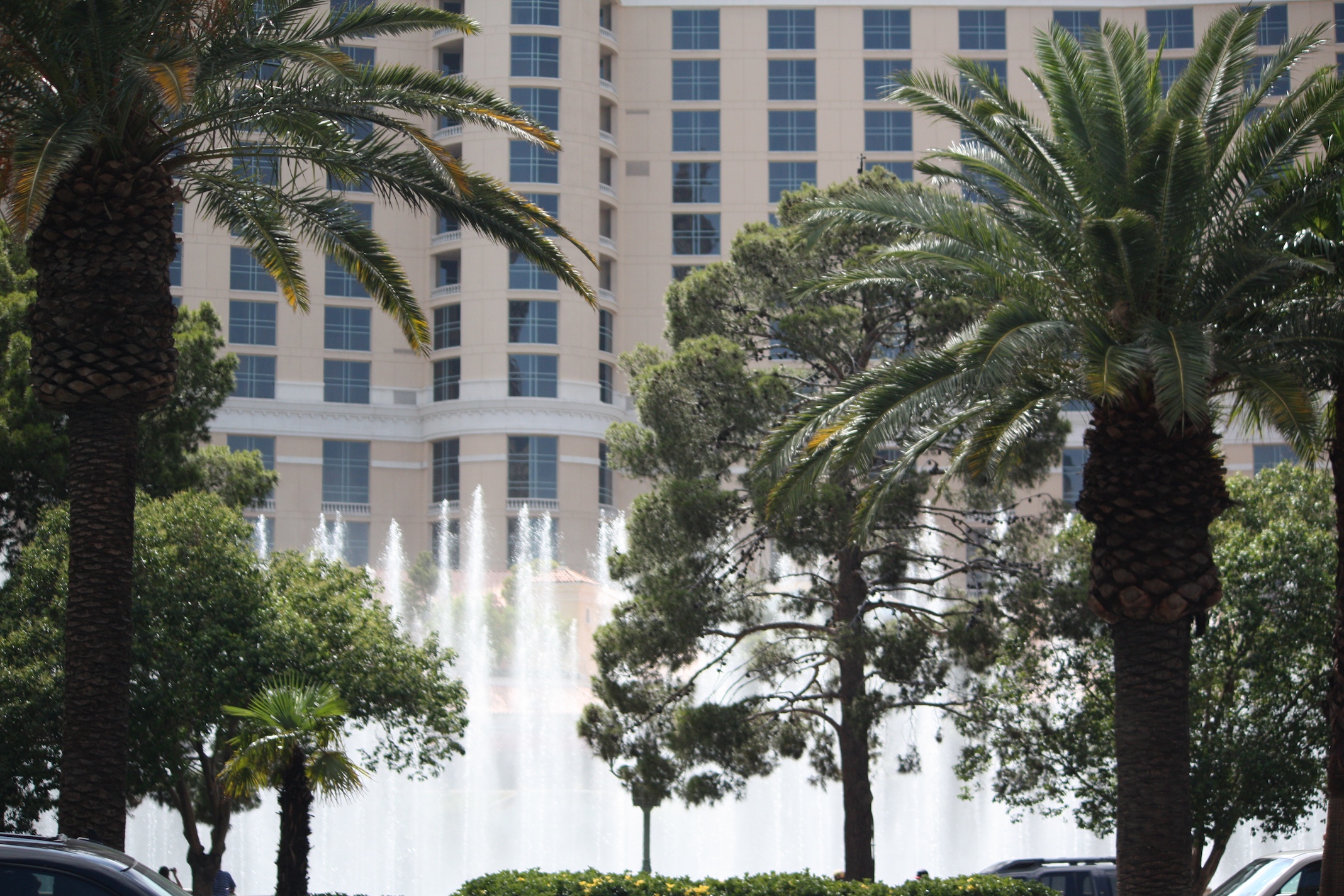 view from park of buildings, fountains and trees