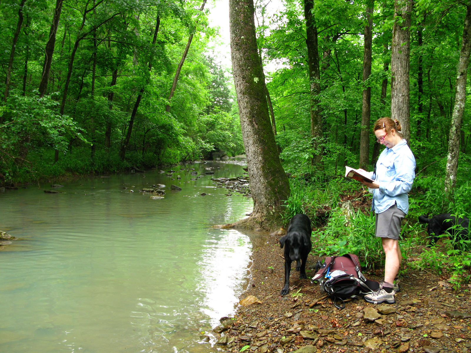 man looking at map in front of a dog and a backpack