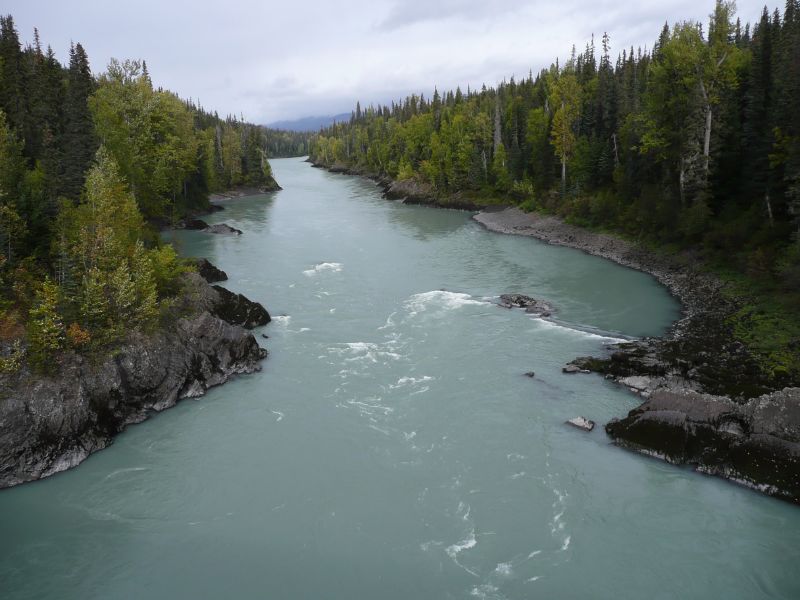 an aerial view of river surrounded by wooded area