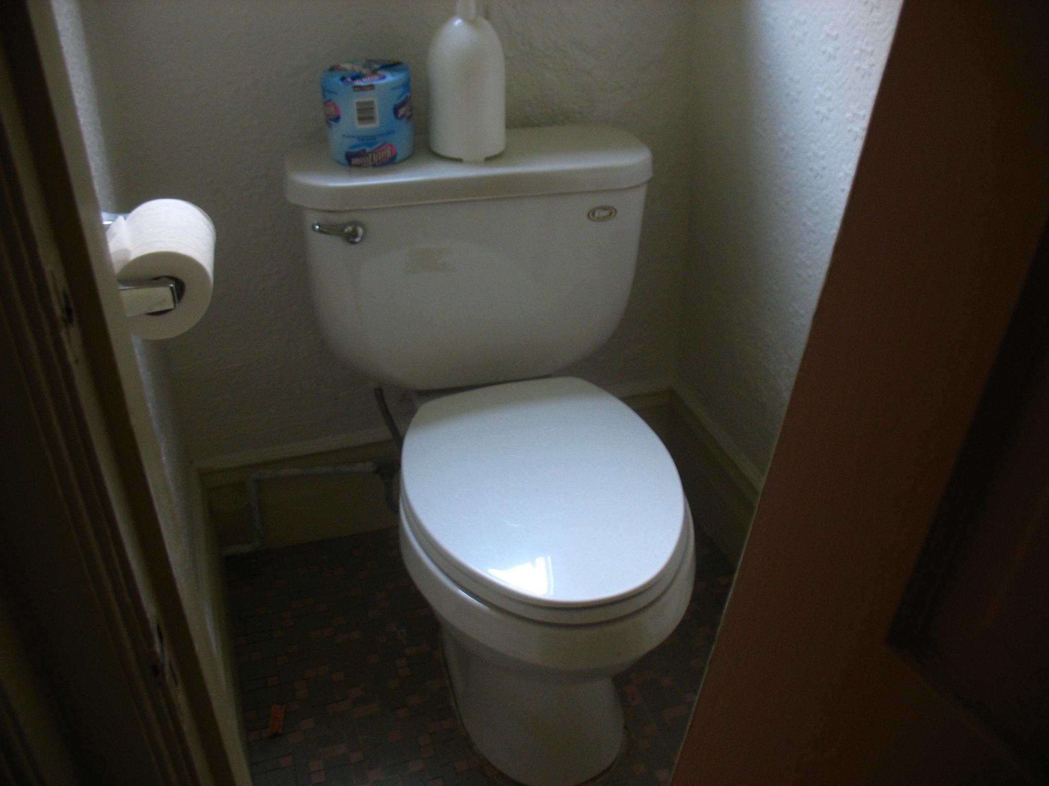 a white toilet sitting in a bathroom next to a roll of tissue