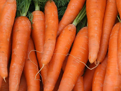 an arrangement of fresh carrots are piled up