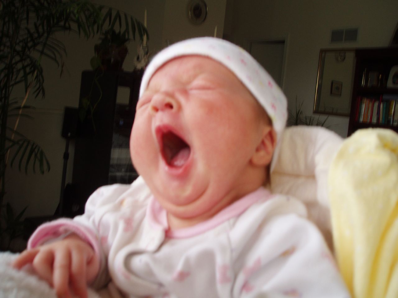 a small baby crying in her crib with it's mouth wide open