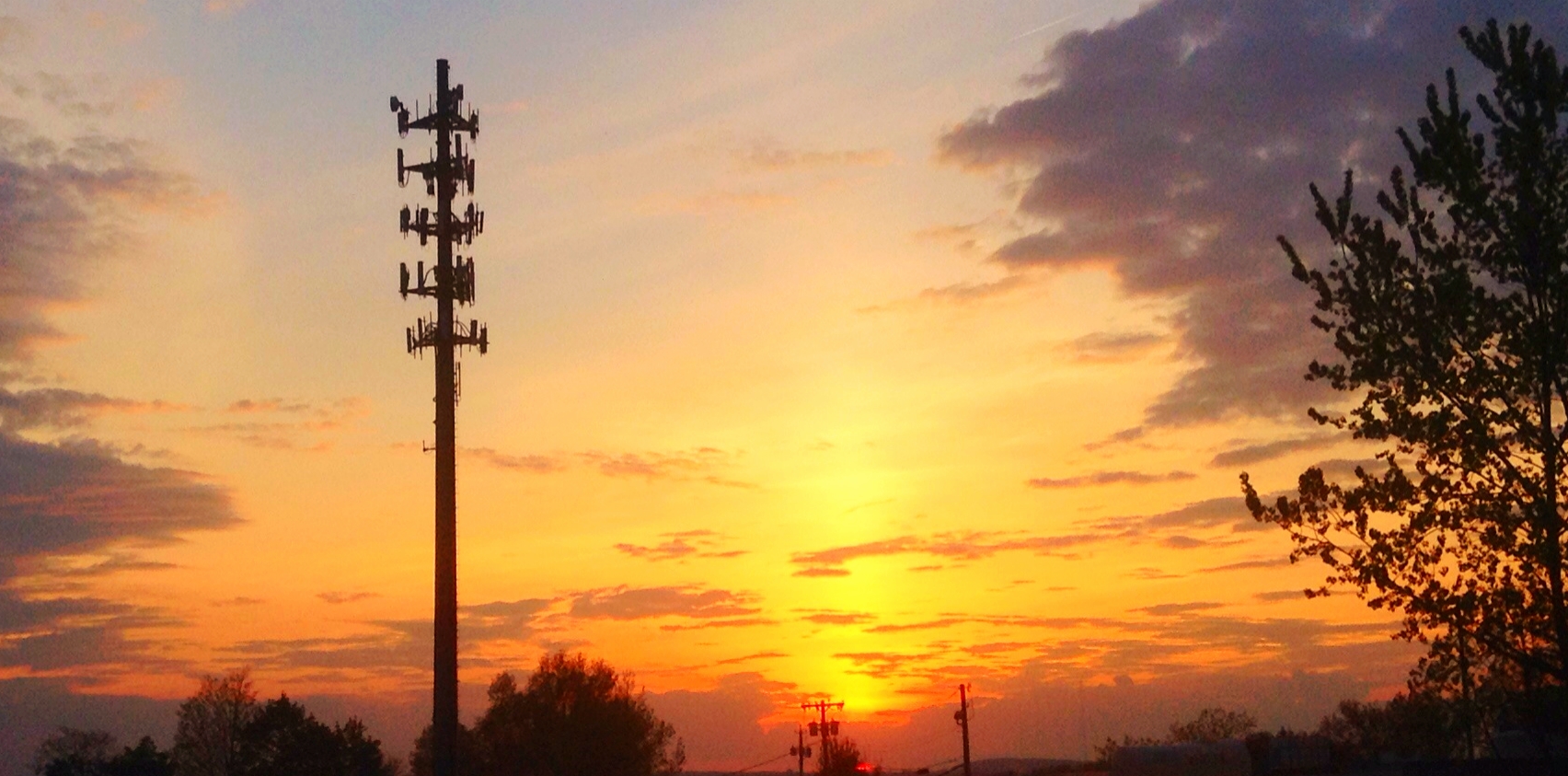 telephone masts near tree and setting sun